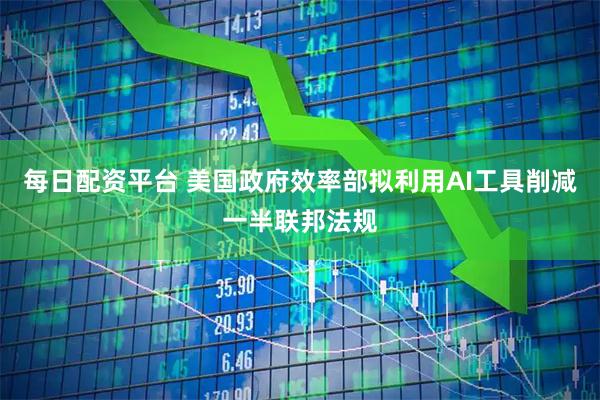 每日配资平台 美国政府效率部拟利用AI工具削减一半联邦法规